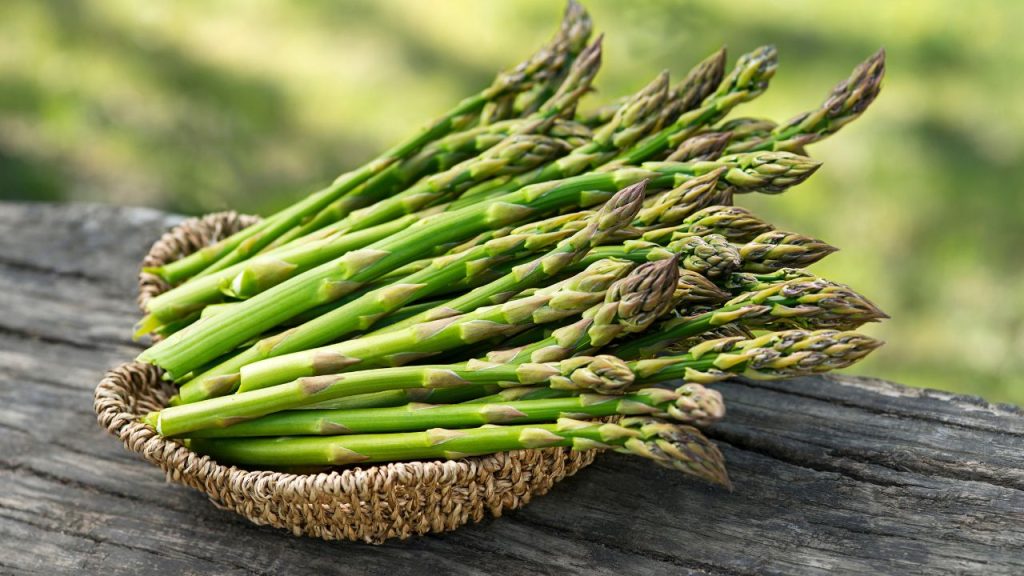 Asparagus