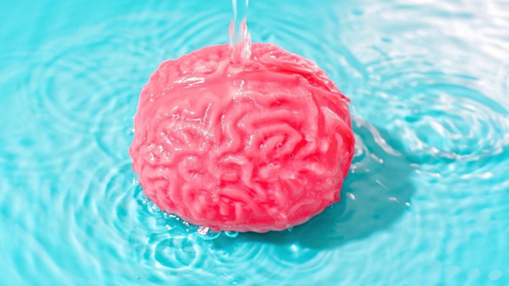 Water percentage in human brain