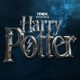 Harry Potter HBO Series