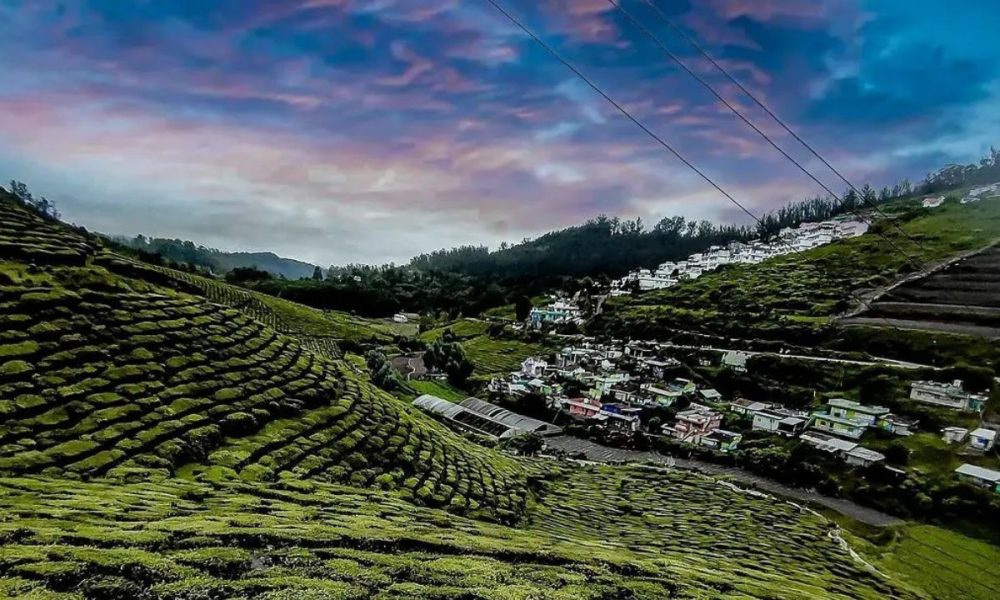 places to visit in ooty in 1 day