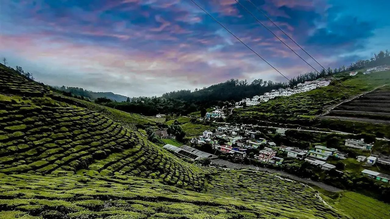 places to visit in ooty in 1 day